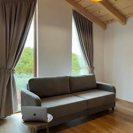 Si N'shpi Tande - Mrizi I Zanave *