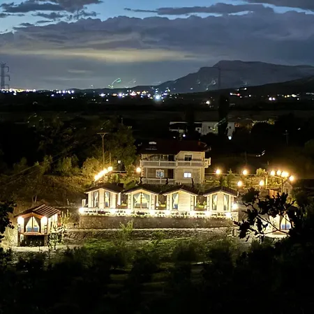 Si N'shpi Tande - Mrizi I Zanave